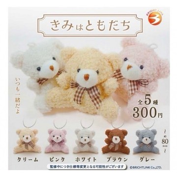 ✿AREA.TOY✿ Bright Link 好朋友小熊絨毛吊飾 娃娃 扭蛋 轉蛋