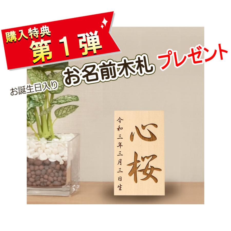 No.302-77 雛人形 親王飾り 夢式部 ひな人形 平飾り 小三五 親王 几帳 西陣 刺繍