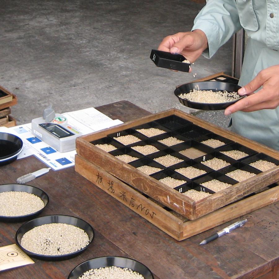 中魚沼産「新之助(しんのすけ)」30kg（令和5年産）