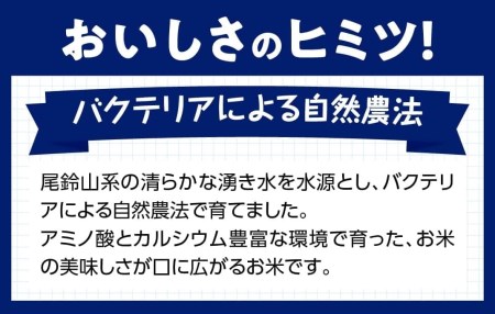 宮崎県産こしひかり 「シタギリ米」 10kg