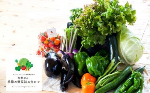 有機JAS認定 季節の野菜 詰め合わせ～有機野菜セットA～ 北海道北広島市