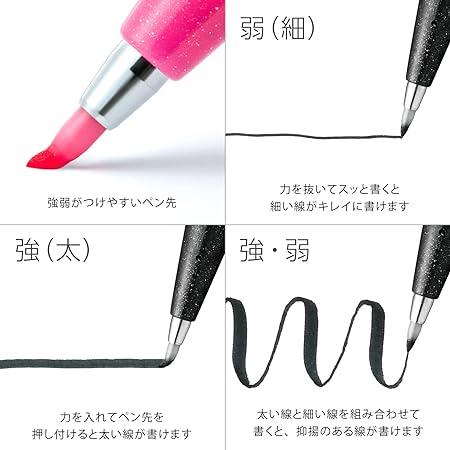 ぺんてる 筆タッチ サインペン SES15C-CA ブルーブラック 10本