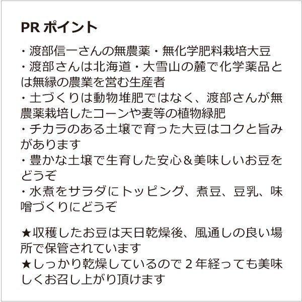 北海道産 無農薬大豆 渡部信一さんの大豆（約1kg×5袋） 品種は音更大袖 無農薬・無化学肥料栽培30年の美味しい大豆  渡部さんは化学薬品とは無縁