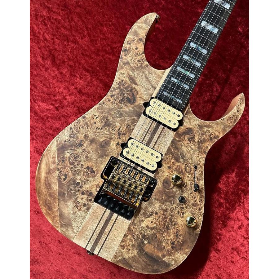 Ibanez Premium RGT1220PB ABS