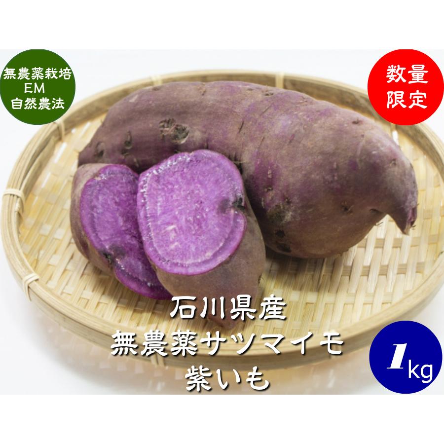 有機栽培  EM農法 わけあり 紫いも（さつまいも）１袋１kg サツマイモ