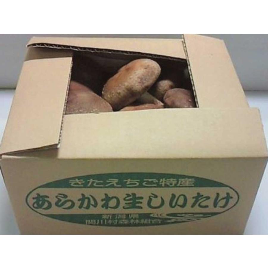 新潟県産 あらかわ生しいたけ　　特選肉厚プレミアム1?