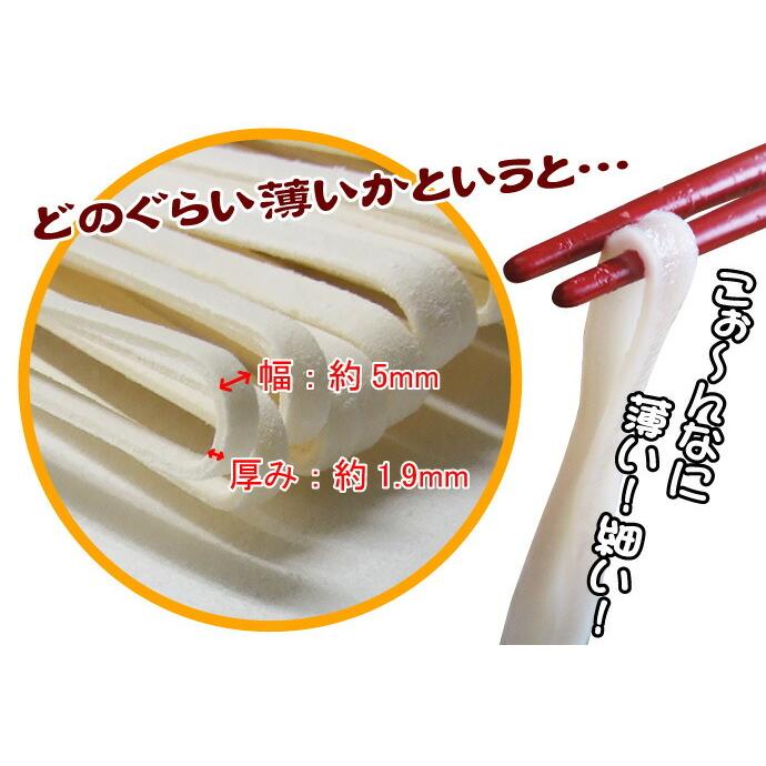 本場讃岐うどん 平打ち麺 1kg 半生 讃岐うどん 送料無料 ポスト投函便での配送(代引 後払 着日指定不可)