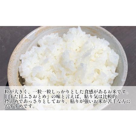 ふるさと納税 新米 令和5年 ふさおとめ　無洗米　5kg 千葉県千葉市