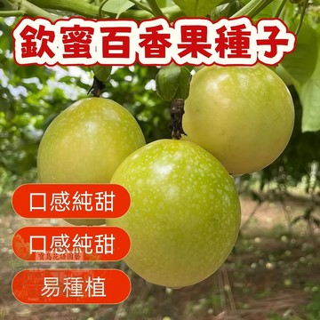 🔥欽蜜百香果種子BXG-13 西番蓮種子 雞蛋果、時鐘果Passion Fruit多汁可口,果實飽滿薄皮四季盆栽水果種子