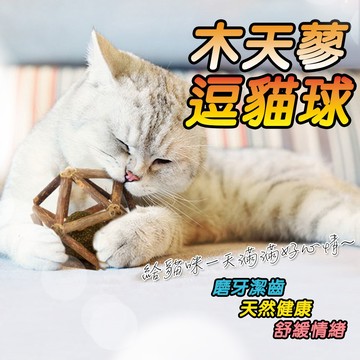 木天蓼薄荷球 木天蓼逗貓球 貓咪玩具球 貓草玩具 貓草球 天然貓薄荷球 貓咪鈴鐺球 逗貓玩具 磨牙潔齒玩具 天然植物