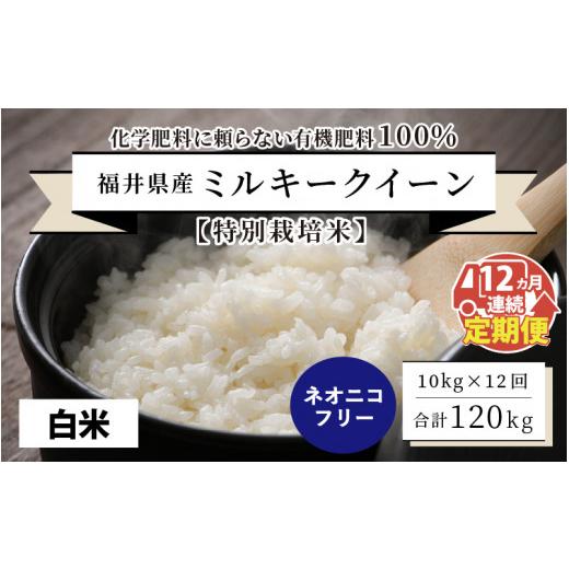 ふるさと納税 福井県 坂井市 福井県産 ミルキークイーン10kg×12回 計120kg 〜化学肥料にたよらない100%…