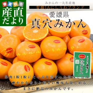 愛媛県 JAにしうわ 真穴みかん 約2.8キロ(1.4キロ×2) LからMサイズ 送料無料 ミカン 蜜柑 まあなみかん 愛媛みかん 市場発送