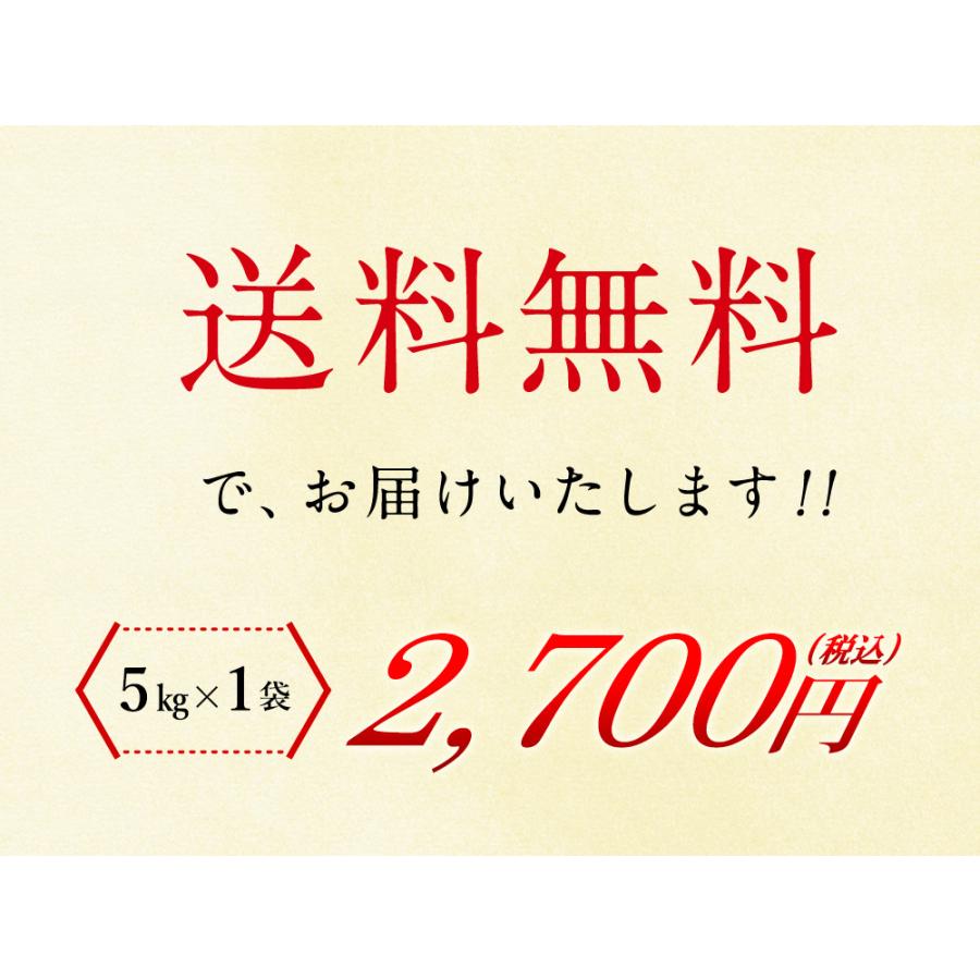 新米 三重県産 こしひかり 5kg（5kg×1袋） 送料無料  令和5年産 精米 お米 三重県産 5kg（北海道・沖縄別途送料）（配達日・時間指定は不可）