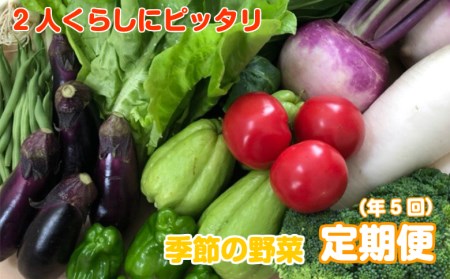 定期便 野菜 5回 9～10種類程度 2人暮らしにぴったり 南国土佐のお野菜食べきりサイズ セット 詰め合わせ 季節 新鮮 産地直送 高知県 須崎市