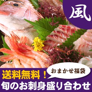 旬のお刺身盛り合わせ4～5人前（風） 送料無料（北海道・沖縄を除く）