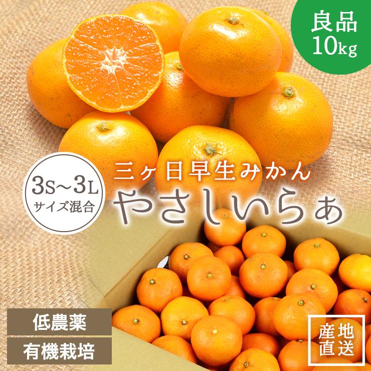 秀品 低農薬 有機栽培 三ヶ日 早生 みかん 10kg 送料無料 やさしいらぁ 3S 〜 3L サイズ不揃い 特別栽培 有機肥料 贈答用 ギフト 贈答 三ヶ日みかん 産地直送