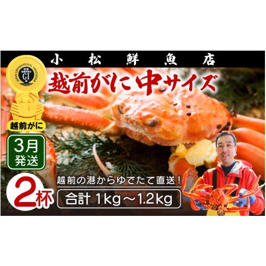 ふるさと納税 福井県 越前町 越前がに本場の越前町からお届け！ 越前がに≪浜茹で≫中サイズ（生で500〜600g） × 2杯地元で喜ばれるゆで加減…