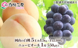 桃 ぶどう 2024年 先行予約 白桃 5玉 合計約1.5kg （1玉 約300g） ニュー ピオーネ 1房 550g もも 葡萄 詰合せ 岡山 国産 フルーツ 果物 ギフト 桃茂実苑