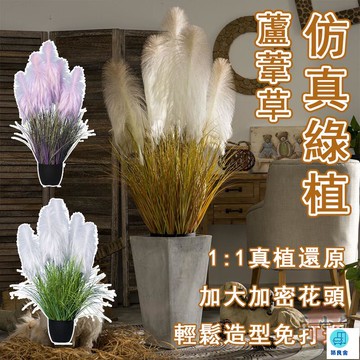 台灣公司 工廠直銷 可開發票 【宅配免運】仿真蘆葦草 客廳裝飾綠植 落地盆栽 仿真植物 假綠植 裝飾盆栽 擺飾假花 仿真植物盆栽 仿真綠植店長推薦 新品特價 5z86