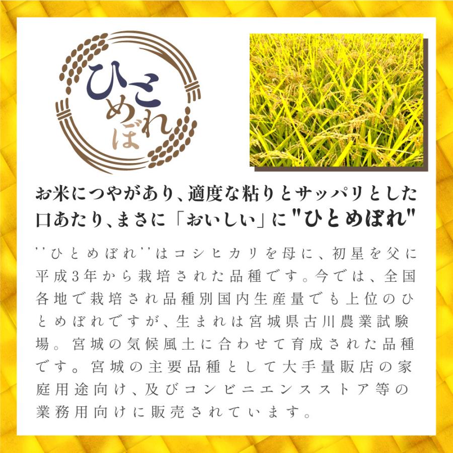 令和5年度 新米 10kg お米 ひとめぼれ 米 5kg 2袋セット 白米 宮城 国産 日本産 10キロ