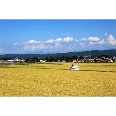 ふるさと納税 十日町市 新潟県認証米 魚沼産川西こしひかり5kg 全6回