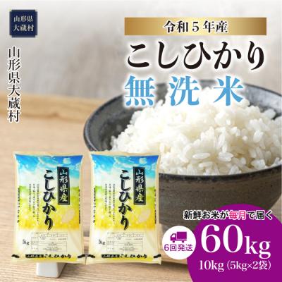 ふるさと納税 大蔵村  令和5年産 コシヒカリ60kg(10kg×6回)