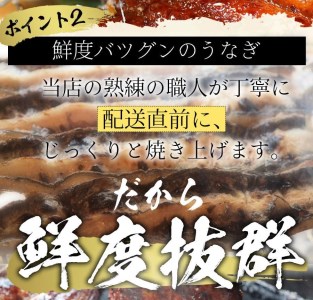 国産うなぎの蒲焼・白焼き豪華食べ比べセット（蒲焼2尾・白焼き2尾 計4尾）