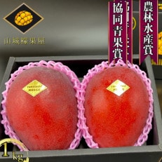 受賞多数!!山城マンゴー屋の沖縄県産マンゴー1kg