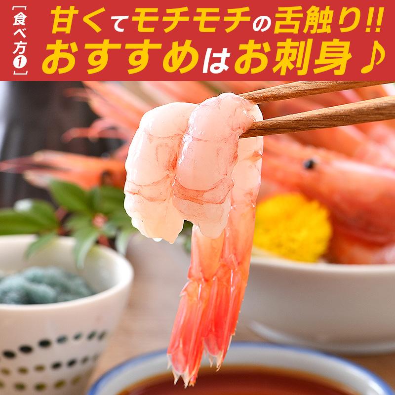 甘エビ 甘えび 特大 子持ち 刺身 1kg 500g×2箱 約60尾 冷凍 越前甘エビ 福井県 お歳暮 ギフト