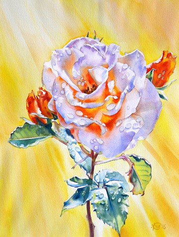 藝術家 Irina Zhunaeva 的玫瑰原創水彩畫