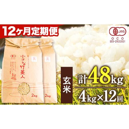 ふるさと納税 令和5年産 小さな竹美人 玄米 4kg(2kg×2袋) 株式会社コモリファーム《お申込み月の翌月から出荷開始》 福岡県小竹町