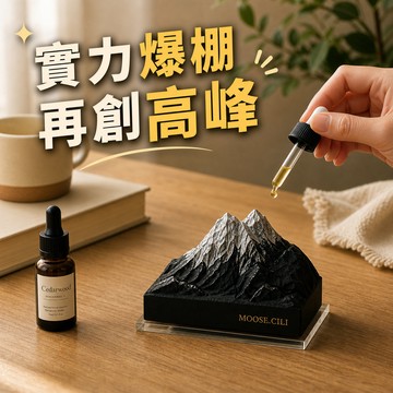 [窩在家] 秘境雪山舒壓擴香石  🎂 生日禮物｜擴香｜香氛｜療癒｜喬遷｜閨蜜｜雙子座｜畢業禮物｜禮盒