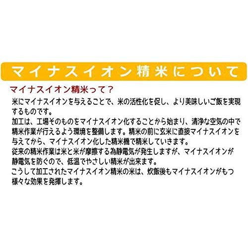 精米　日本の農家直送米　10kg