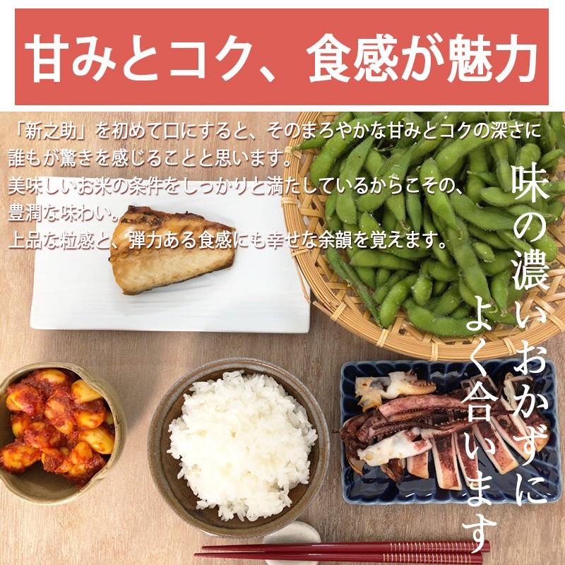 お米 900g 新潟産新之助 チャック付パック しんのすけ 条件付送料無料 令和５年産  ギフト 内祝い