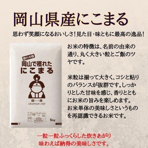 5年産 新米 5kg にこまる 岡山県産 (5kg×1袋) 米 送料無料