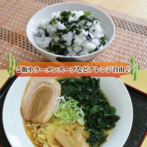 ふるさと納税 塩蔵わかめ 500g 冷凍 塩蔵ワカメ 小分け 海藻 冷凍わかめ 三陸わかめ 塩蔵ワカメ 小分けワカメ 岩手県大船渡市