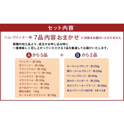 ふるさと納税 熊本県 無添加 加工品 詰め合わせ (A5B2) 計7品 詰合せ セット 豚肉 ハム ウインナー ベーコン