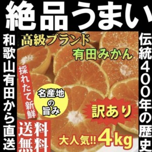 みかん  4kg 今だけお得！ 農家直送 訳あり 和歌山 有田みかん ありだみかん ブランド