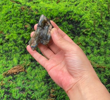 能量擺飾-天然幾何漸層彩光拉長石  旺姻緣 財運水晶 快速出貨