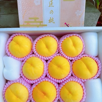 【帕查嬤嬤】 🇯🇵日本 山形縣 黃金桃 9玉禮盒🍑｜日本黃金水蜜桃禮盒