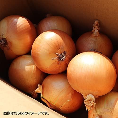 たまねぎ 国産 Ｌ〜２Ｌ 玉葱 ご家庭用 大量 野菜 玉ねぎ (2kg)