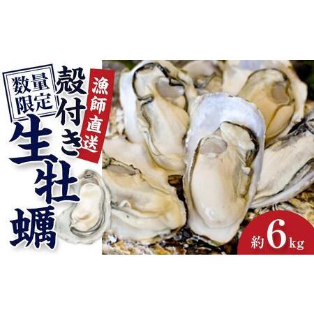 ふるさと納税 殻付き生牡蠣 6kg 兵庫県相生市