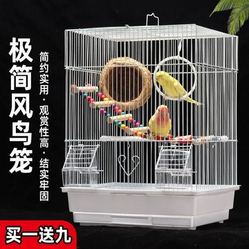 💕在臺出貨🔥虎皮鸚鵡鳥籠子文鳥珍珠鳥牡丹相思觀賞鐵藝繁殖養殖籠小型外帶籠