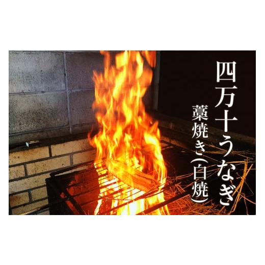 ふるさと納税 高知県 四万十町 四万十うなぎ藁焼き 白焼き　Esu-105 冷凍 特大 たれ付き 蒲焼 白焼 国産 鰻 ウナギ うなぎ 蒲焼き 肉厚 土用の…