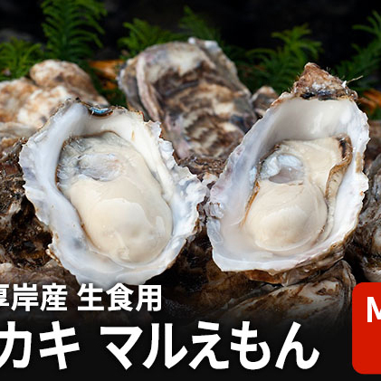 北海道 厚岸産 生食用 殻付カキ Mサイズ 10個 マルえもん 牡蠣