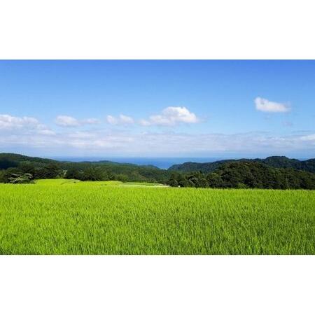 ふるさと納税 令和5年産 富山県産 コシヒカリ 長坂の棚田米 10kg （玄米） 富山県 氷見市 こしひかり 棚田  富山県氷見市