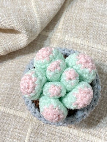 獨家設計 | 手工鉤織粉色多肉植物小盆栽擺設