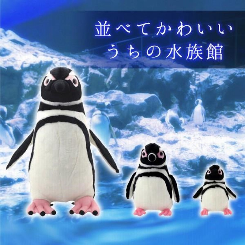 Amazon.co.jp: すみだ水族館 オリジナル 飼育員監修 マゼランペンギン ぬいぐるみ Mサイズ : ペット用品