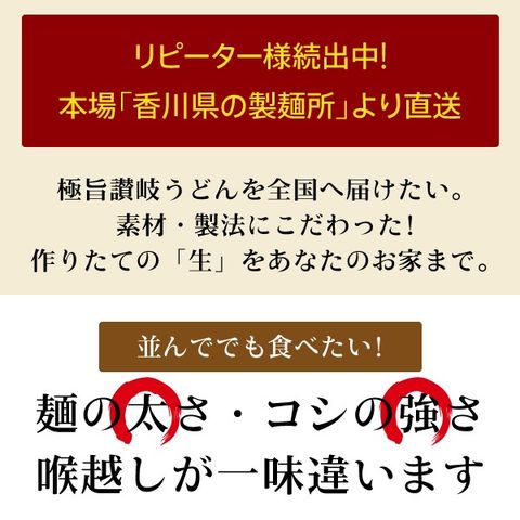 送料無料 讃岐生うどん9食セット（300g(3食)×3袋）普通麺 麺のみ [ﾒｰﾙ便] ポイント消化 お試し 期間限定 食品 通販 セール