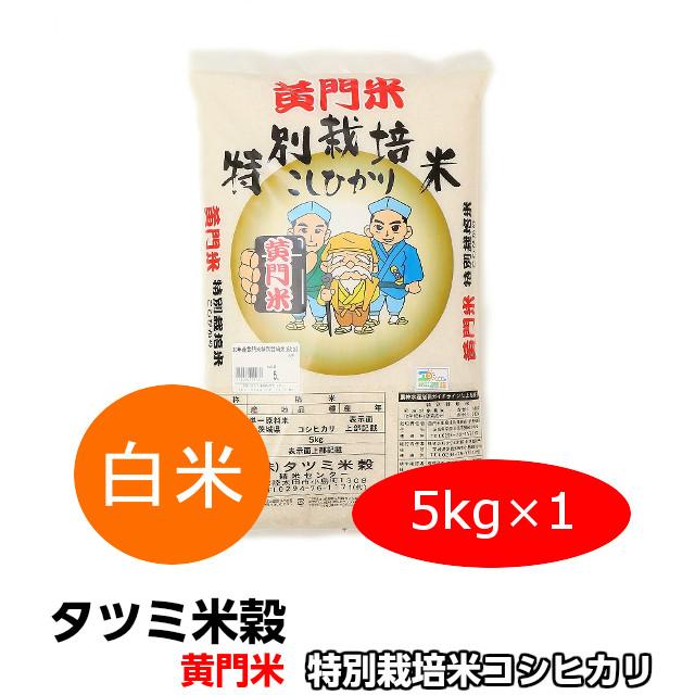 米 コシヒカリ こしひかり 黄門米 特別栽培米 白米 5kg 令和5年産 ギフト 茨城県 お米 こめ おこめ